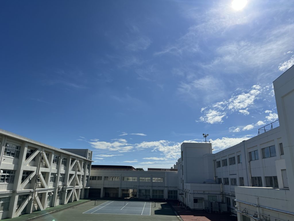 いいお天気になりました🌞