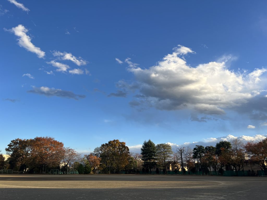 12月献立表、給食だよりを更新しました！