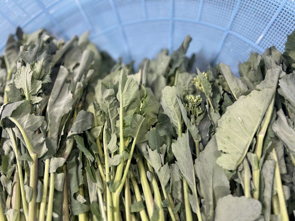 江戸東京野菜🥕