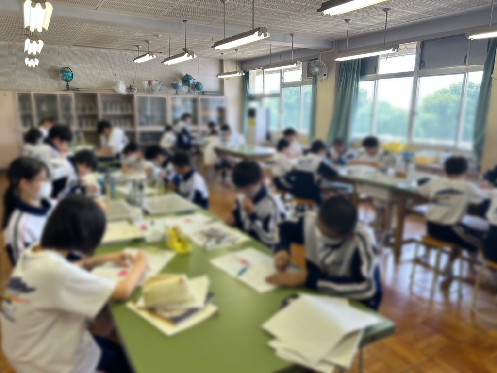 １年理科「花のつくりの観察」