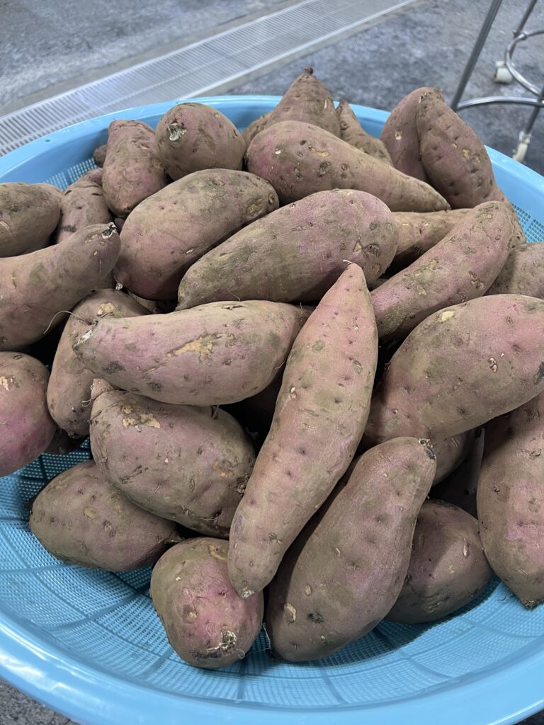 1年生校学習いってらっしゃいメニュー！