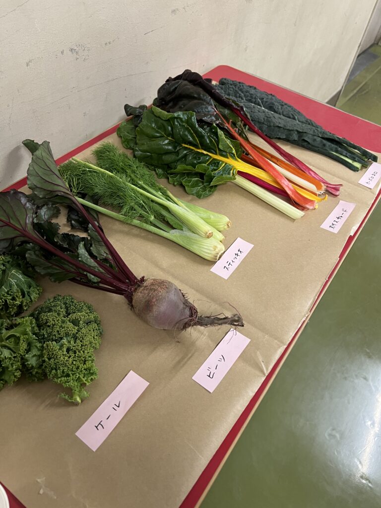 学校給食週間2日目 「小金井市で作られている西洋野菜」
