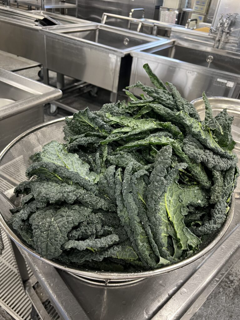 小金井市で作られている西洋野菜その③